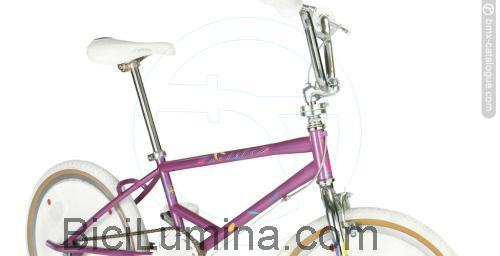 Schwinn Predator Freeform ficha técnica y opiniones